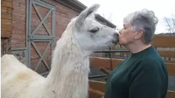 Friends On The Farm