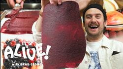 Brad Makes Fruit Leather