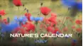 July (Nature's Calendar)