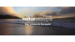 Golden Waves Crashing at Sunset