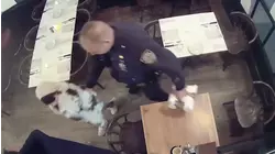 'Dine-and-dash diva' accused of skipping out on bills at high-end restaurants in Brooklyn