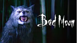 Bad Moon [Broadcast Edit]