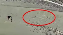 Tourists Trapped by Rising Tides Make SOS Message on Beach