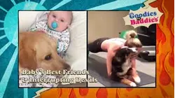 Goodies VS. Baddies | Baby's Best Friends and Interrupting Devils