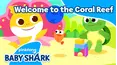 Welcome to the Coral Reef