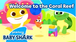 Welcome to the Coral Reef