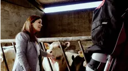 Roscommon to Vancouver