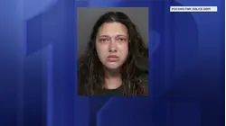 Great Wolf Lodge killings: Mother sought 'help dying' after husband, son were 'already gone,' affidavit says