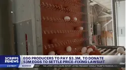 Egg producers to pay $3.3 million to settle price-fixing suit