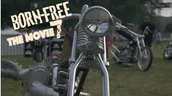 Born Free 7