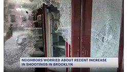 Recent fatal shootings shake Brooklyn communities as NYPD data shows overall decline in violence