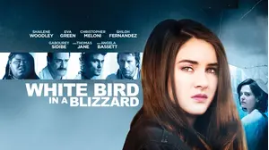 White Bird In A Blizzard