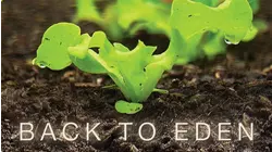 Back to Eden