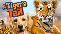 A Tiger's Tail