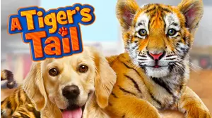 A Tiger's Tail