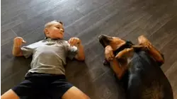 Gentle Giants