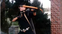 Ninja Knight - Thunder Fox