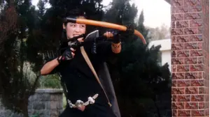 Ninja Knight - Thunder Fox