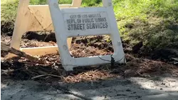 City fixes cracked sidewalk giving 85-year-old trouble after 7 On Your Side report