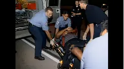 World's Wildest Police Videos