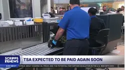 TSA pay may be coming, but airport delays could persist and ICE agents may not leave soon