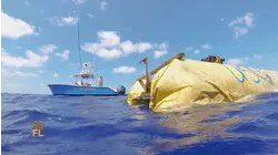 How To Do Mahi Mahi And Florida Wines