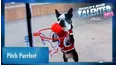 World's Most Talented Pets