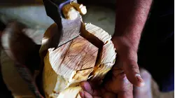 Why Sandalwood Is So Expensive