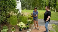 Scorched Floor, Hardy Plantings | Ask TOH