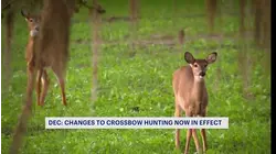 New law expands bowhunting options for Hudson Valley hunters