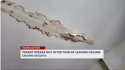Crown Heights tenant says leaking ceiling has gone unfixed for over a year