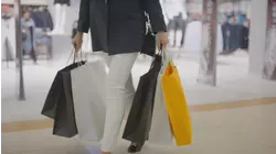 Checking in on America's holiday shopping season