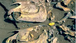 Mystery of Mummy Cabin