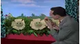 Pee-wee's Playhouse
