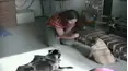 Funniest Pets & People