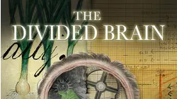 The Divided Brain