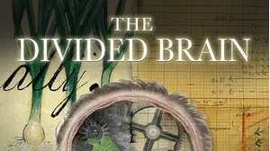 The Divided Brain