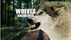 Wolves Unleashed