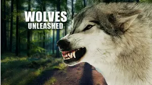Wolves Unleashed