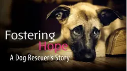 Fostering Hope: A Dog Rescuer's Story