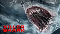 Killer Shark