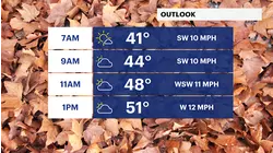 Cloudy and chilly temperatures; sunshine ahead for Brooklyn