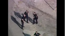 World's Wildest Police Videos