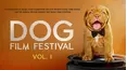 Dog Film Festival Vol. 1