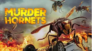 Murder Hornets