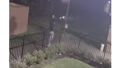 Suffolk DA announces arrests of Huntington Station gang members