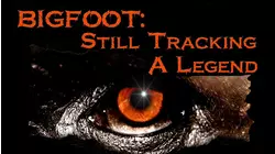 Bigfoot: Still Tracking A Legend