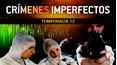 Crímenes Imperfectos