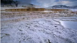 Yellowstone