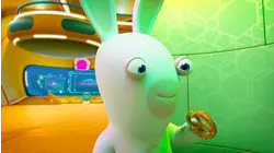 Rabbid kitty business